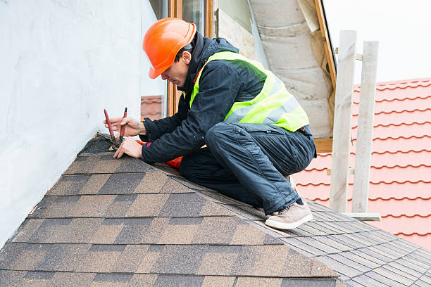 Best Roof Gutter Cleaning  in Mount Vernon, OH